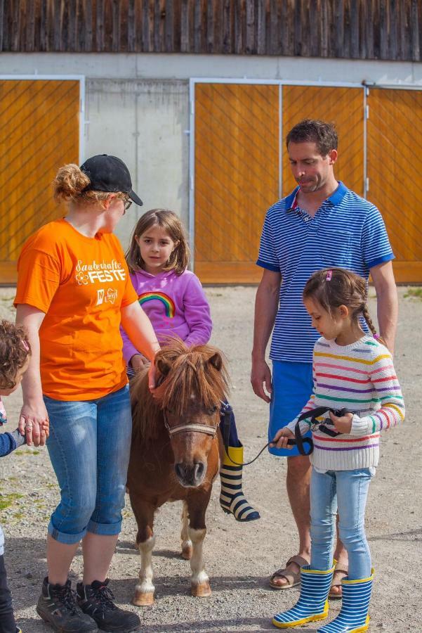 Apartmán Einkehrhof Poggau Reinsberg Exteriér fotografie